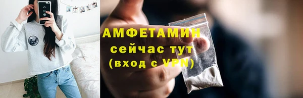 шишки Беломорск
