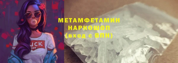 шишки Беломорск