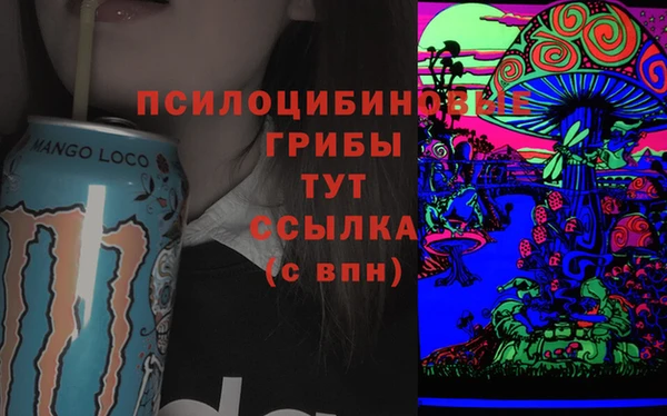 mdma Белокуриха