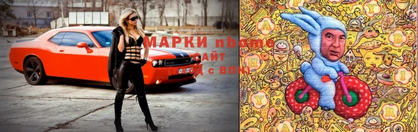 шишки Беломорск