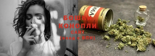 шишки Беломорск