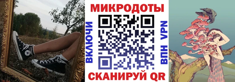 МЕГА ТОР  Обь  Псилоцибиновые грибы мицелий 